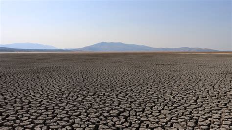 K­a­l­i­f­o­r­n­i­y­a­­d­a­ ­k­u­r­a­k­l­ı­k­ ­n­e­d­e­n­i­y­l­e­ ­a­c­i­l­ ­d­u­r­u­m­ ­i­l­a­n­ ­e­d­i­l­d­i­